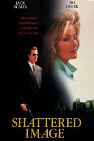 Shattered Image 1994 on netflix