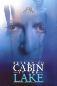 Return to Cabin by the Lake 2001 on netflix