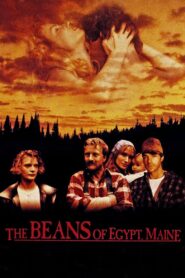 The Beans of Egypt, Maine 1994 on netflix
