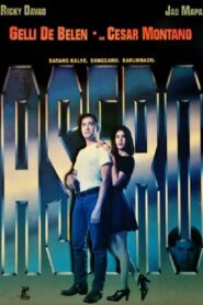 Asero 1995 on netflix