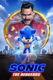 Sonic the Hedgehog 2020 on netflix