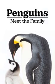 Penguins: Meet the Family 2020 on netflix