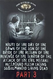 Night of the Day of the Dawn of the Son of the Bride of the Return of the Revenge of the Terror of the Attack of the Evil, Mutant, Hellbound, Flesh-Eating Subhumanoid Zombified Living Dead, Part 3 2005 on netflix