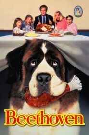 Beethoven 1992 on netflix