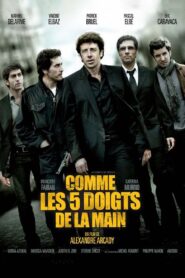 Comme les 5 doigts de la main 2010 on netflix
