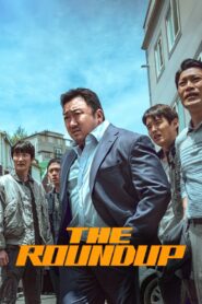 The Roundup 2022 on netflix
