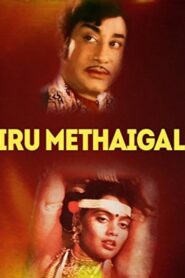 Iru Medhaigal 1984 on netflix