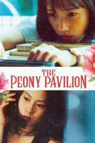 The Peony Pavilion 1995 on netflix