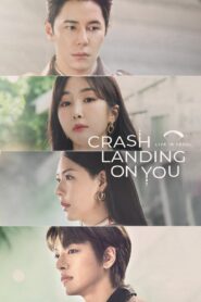 Crash Landing On You: Live in Seoul 2023 on netflix