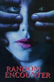 Random Encounter 1998 on netflix