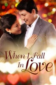 When I Fall in Love 2014 on netflix
