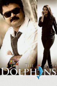 The Dolphins 2014 on netflix