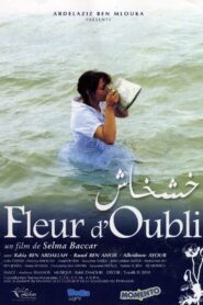 Flower of Oblivion 2006 on netflix