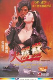 The Wild Couple 1996 on netflix