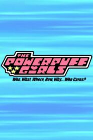 The Powerpuff Girls: Who, What, Where, How, Why… Who Cares? 2009 on netflix
