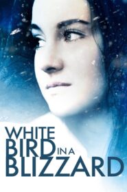 White Bird in a Blizzard 2014 on netflix