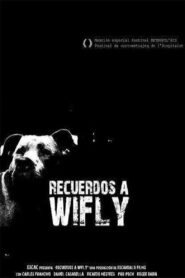 Recuerdos a Wifly 2009 on netflix