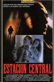 Central Station 1990 on netflix
