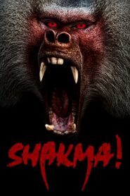 Shakma 1990 on netflix