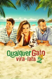 Any Stray Cat 2 2015 on netflix