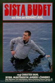 The Last Bid 1981 on netflix