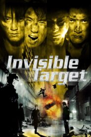 Invisible Target 2007 on netflix