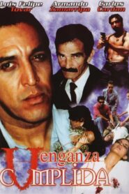 Venganza cumplida 2004 on netflix