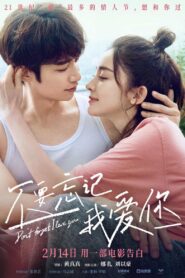Don’t Forget I Love You 2022 on netflix