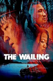 The Wailing 2016 on netflix
