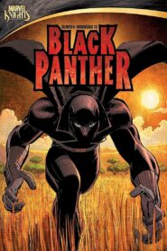 Black Panther 2010 on netflix