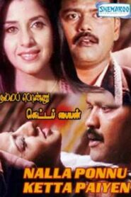 Nalla Ponnu Ketta Paiyyan 2008 on netflix