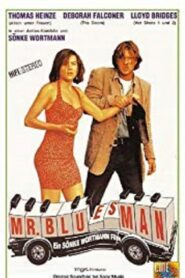 Mr. Bluesman 1993 on netflix