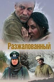 Degraded Officer 2009 on netflix