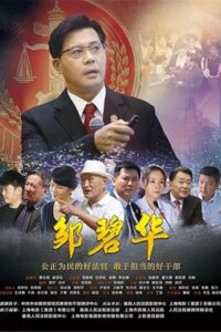 邹碧华 2017 on netflix