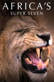 Africa’s Super Seven 2005 on netflix