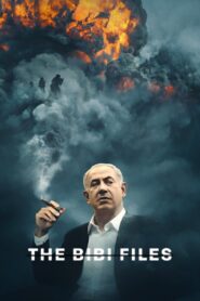 The Bibi Files 2024 on netflix