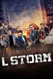 L Storm 2018 on netflix