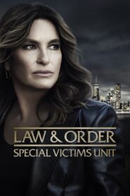 Law & Order: Special Victims Unit 1999 on netflix