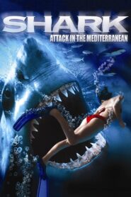 Shark Attack in the Mediterranean 2004 on netflix