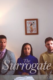 The Surrogate 2021 on netflix