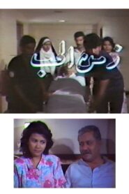 Zamn Al Houb 1990 on netflix