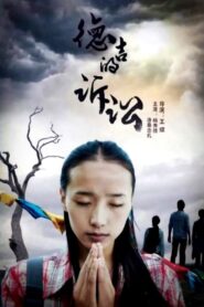 德吉的诉讼 2013 on netflix