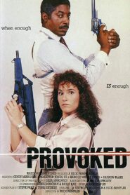 Provoked 1989 on netflix