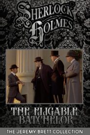 The Eligible Bachelor 1993 on netflix