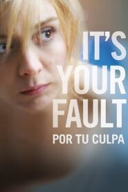 It’s Your Fault 2010 on netflix