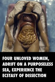 Four Unloved Women, Adrift on a Purposeless Sea, Experience the Ecstasy of Dissection 2023 on netflix