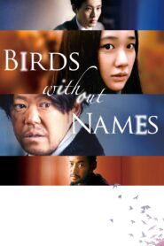 Birds Without Names 2017 on netflix