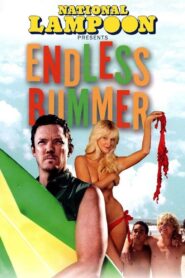 National Lampoon Presents: Endless Bummer 2009 on netflix