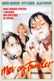 The Hideaway 1991 on netflix