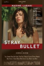 Stray Bullet 2010 on netflix